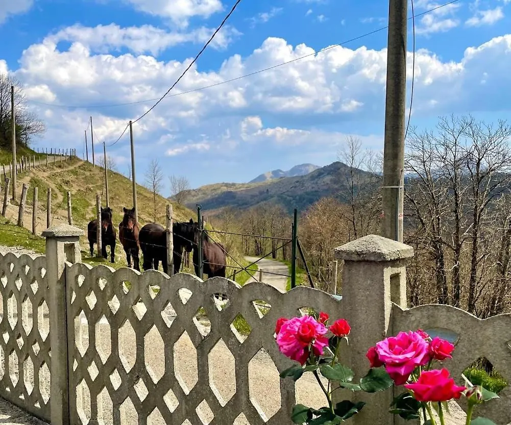 Colle Del Faggio Nature Home Cassego-Villa Holiday home