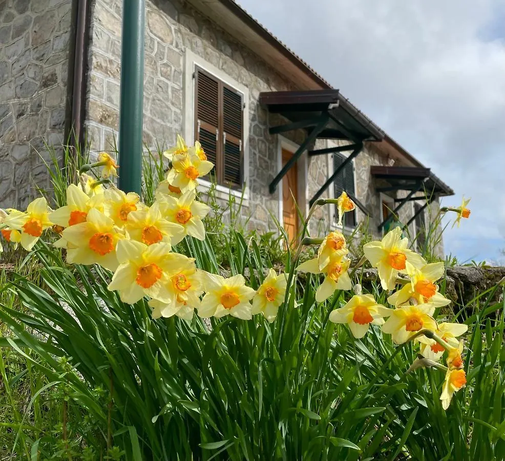 Colle Del Faggio Nature Home Cassego-Villa Italy