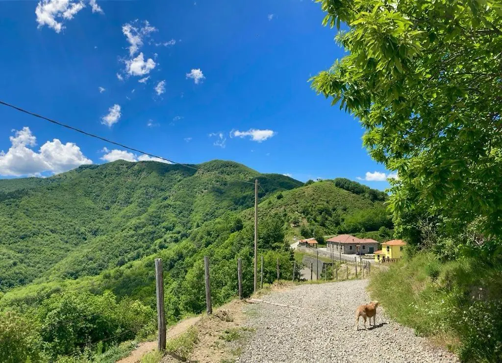 Colle Del Faggio Nature Home Cassego-Villa Holiday home