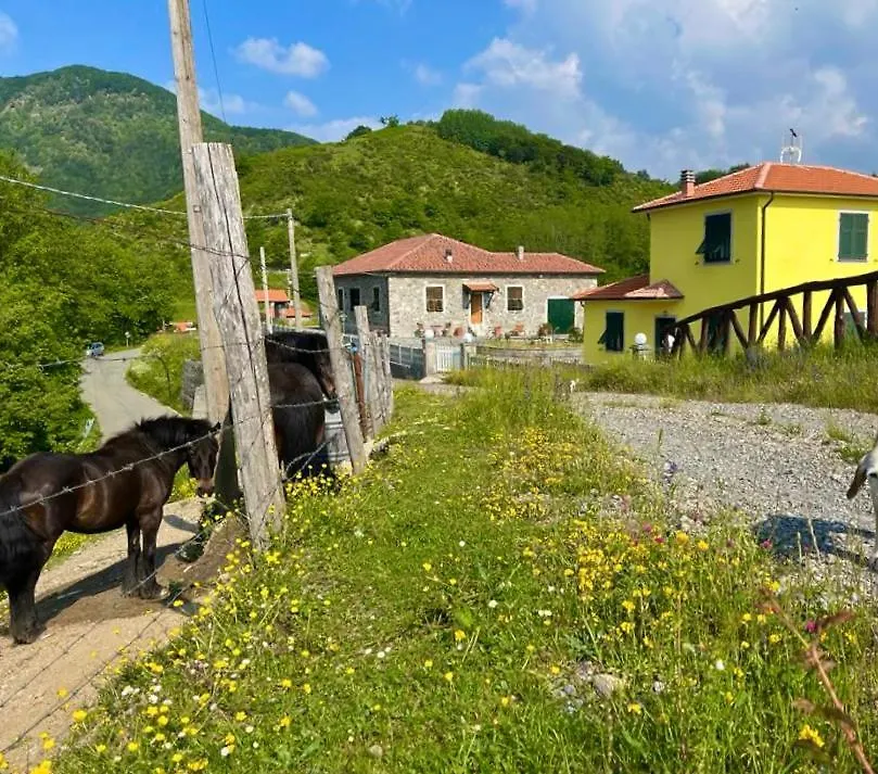 Colle Del Faggio Nature Home location